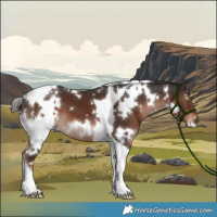 Horse Color:White Spotted Liver Chestnut Tobiano 