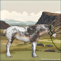 Horse Color:Liver Chestnut Tobiano Rabicano 