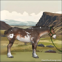 Horse Color:White Spotted Liver Chestnut Tobiano 