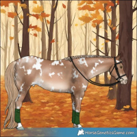 Horse Color:White Spotted Liver Chestnut Pearl 