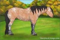 Horse Color:Bay Ice 