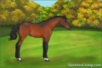 Horse Color:Brown 