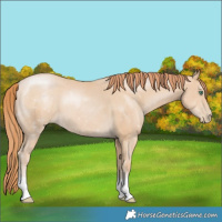 Horse Color:Smoky Black Pearl 