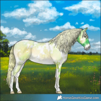 Horse Color:Watercolor White Spotted Chocolate Palomino Onyx Rabicano 