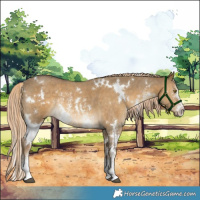 Horse Color:White Spotted Chocolate Palomino Dun Sabino Rabicano 