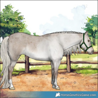 Horse Color:Liver Red Dun Roan Mushroom 