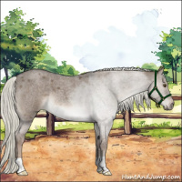 Horse Color:Liver Red Dun Roan Mushroom 