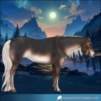 Horse Color:Liver Chestnut Mushroom 