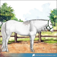 Horse Color:Platinum Chocolate Palomino Sabino