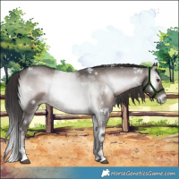 Horse Color:Platinum White Spotted Liver Red Onyx Sabino 