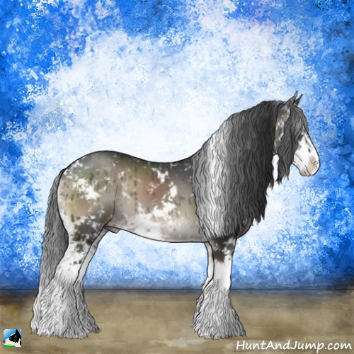 Horse Color:Blue Onyx Mushroom Sabino 
