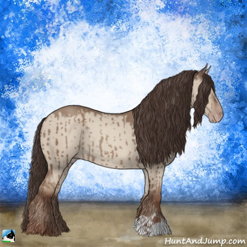 Horse Color:Classic Champagne Dun Rabicano Brindle 