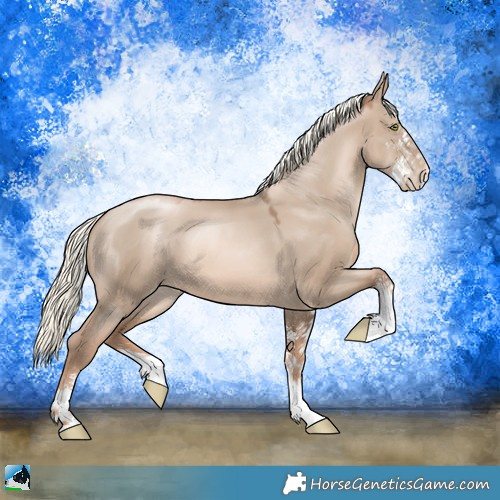 Horse Color:Liver Red Dun Pearl Mushroom Sabino 