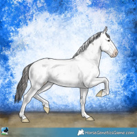 Horse Color:Grullo Ice Onyx Mushroom Sabino Brindle 