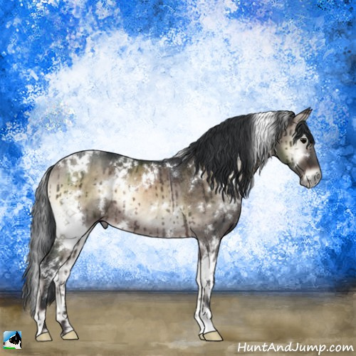Horse Color:White Spotted Brown Onyx Mushroom Rabicano Brindle 
