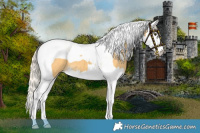 Horse Color:Palomino Splash Tobiano 