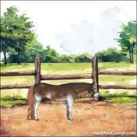 Horse Color:White Spotted Liver Chestnut Sabino