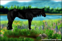 Horse Color:Void White Spotted Liver Red Dun Rabicano 