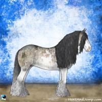 Horse Color:Brown Ice Dun Sabino Rabicano Brindle