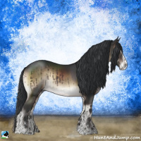 Horse Color:Brown Onyx Sabino Rabicano 