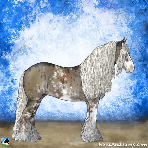 Horse Color:Liver Red Dun Mushroom Sabino Splash Rabicano Brindle 