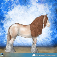 Horse Color:Gold Champagne Dun Sabino Splash Rabicano 