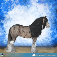 Horse Color:Brown Dun Mushroom Sabino Splash Brindle 