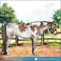 Horse Color:White Spotted Liver Red Dun Brindle 