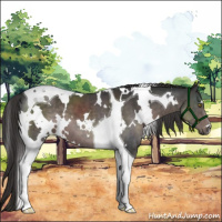 Horse Color:Platinum White Spotted Liver Chestnut Tobiano 