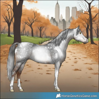 Horse Color:Gray White Spotted Liver Chestnut Tobiano