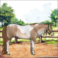 Horse Color:Liver Chestnut Pearl Tobiano 