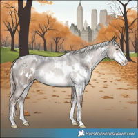 Horse Color:White Spotted Liver Red Dun Mushroom Sabino Rabicano 