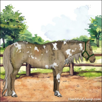 Horse Color:White Spotted Chocolate Palomino Dun Brindle 