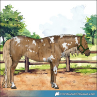 Horse Color:White Spotted Chocolate Palomino Dun Brindle 