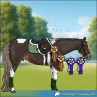 Horse Color:Liver Chestnut Tobiano 