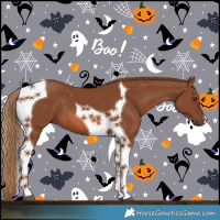 Horse Color:Chestnut Tobiano 