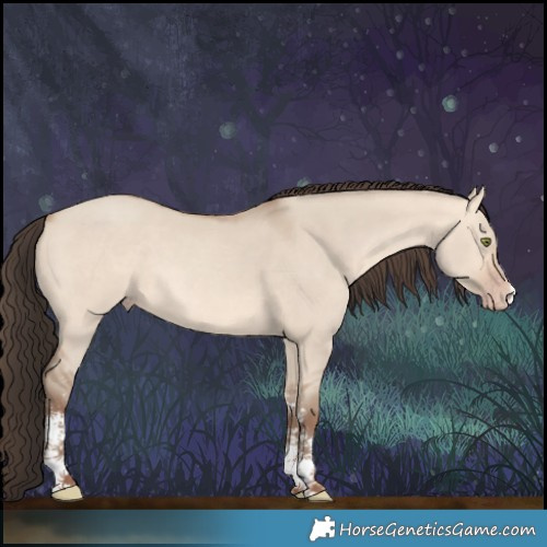 Horse Color:Amber Champagne Dun Sabino 