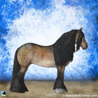 Horse Color:Brown Dun Brindle