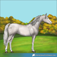 Horse Color:Platinum White Spotted Chocolate Palomino Pearl 