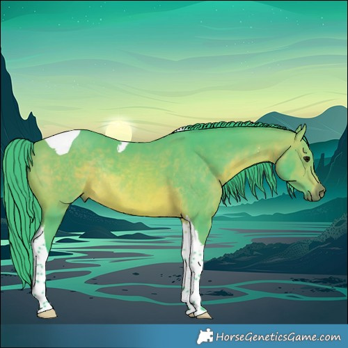 Horse Color:Watercolor Bay Tobiano Rabicano 