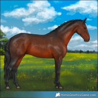 Horse Color:Brown 