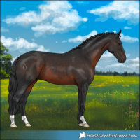Horse Color:Brown 