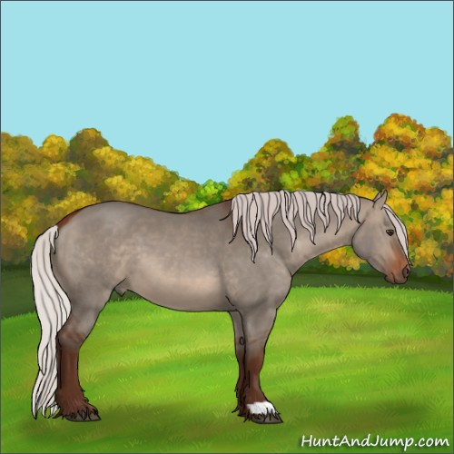 Horse Color:Silver Bay Dun 