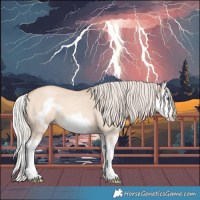Horse Color:Silver Amber Champagne Dun Splash Frame 