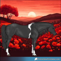 Horse Color:Black Tobiano 