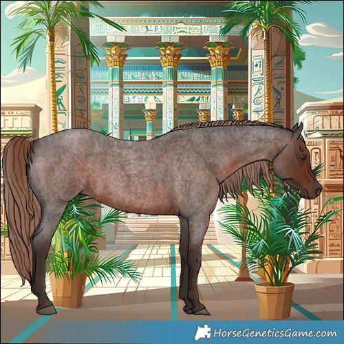 Horse Color:Liver Red Roan