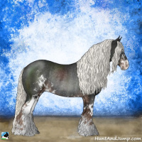 Horse Color:Liver Chestnut Mushroom Sabino Rabicano