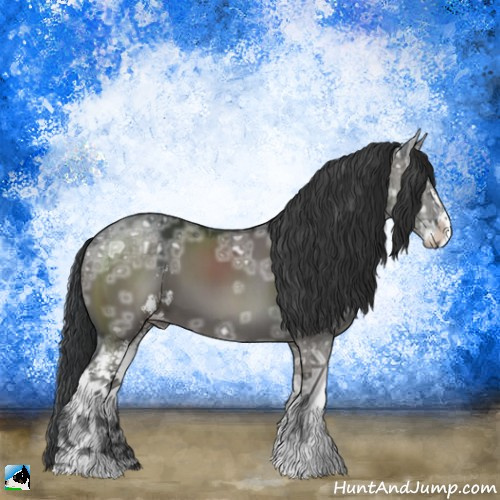 Horse Color:Grullo Ice Sabino 