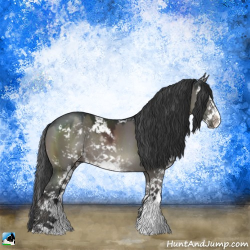 Horse Color:Grullo Sabino Rabicano 