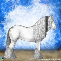 Horse Color:Grullo Onyx Mushroom Sabino Splash 